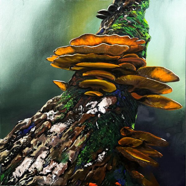 Whispers of the Forest